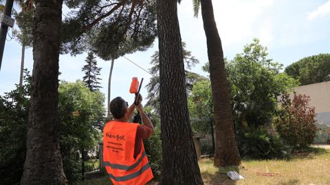 Tir de Phéro-Ball Pin contre la processionnaire du pin. ©A. Lhuillier-Bonnal - ville de Toulon